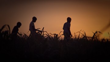 Three boys walk through a field, silhouetted against a vibrant sunset sky